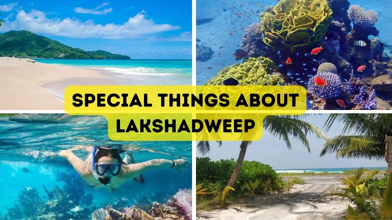 special things about Lakshadweep